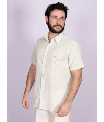 Camisa de algodão listrada verde manga curta