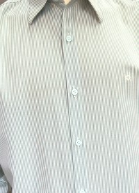 Camisa Social Clássica Listrada Verde e Branco