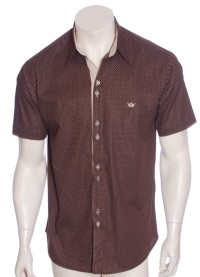 Camisa masculina de bolinha manga curta, marrom  