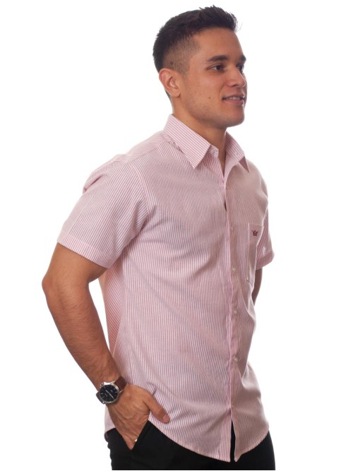 Camisa social masculina de algodão listrada vinho, manga curta Camisa social masculina de algodão listrada vinho, manga curta