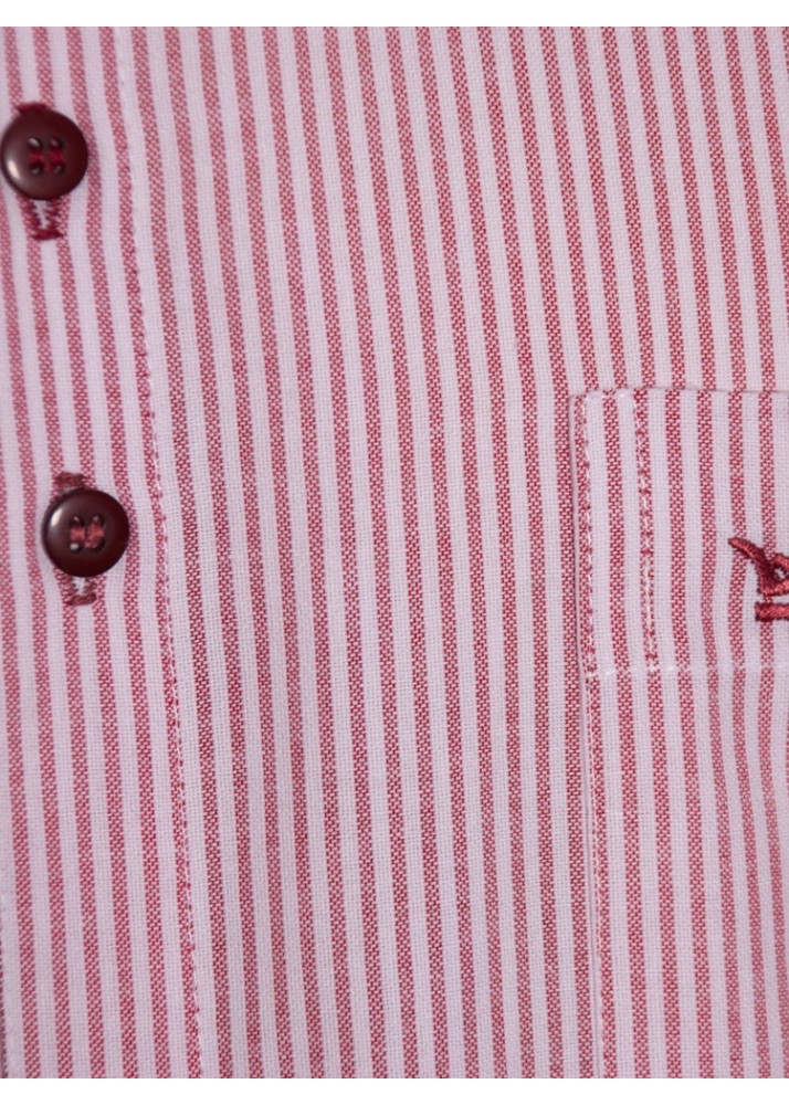 Camisa social masculina de algodão listrada com detalhe vinho, manga curta