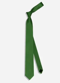Gravata Masculina Slim Skinny Verde Bandeira