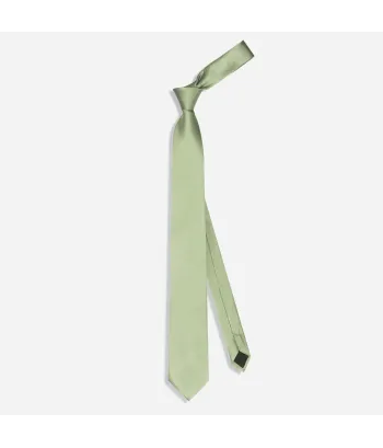 Gravata Masculina Slim Skinny Verde Claro